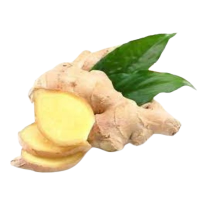 Adrak (Ginger)