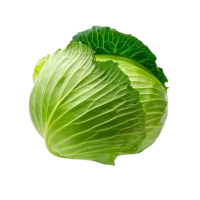 Patta Gobhi (Cabbage)