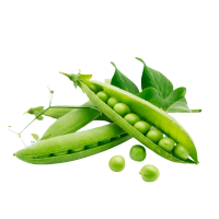 Matar (Peas)
