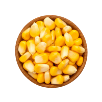 Sweet Corn