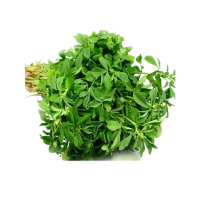 Methi